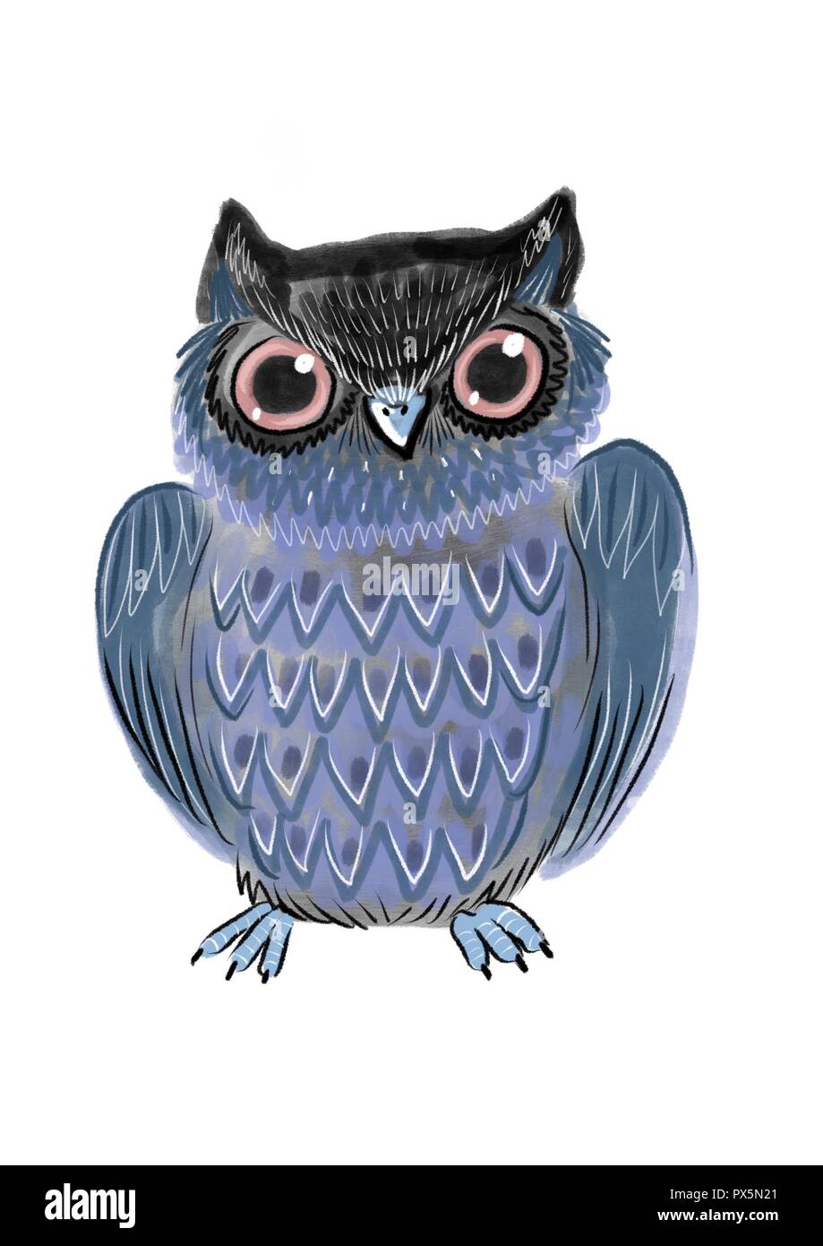 Cute owl illustration Stock Photo