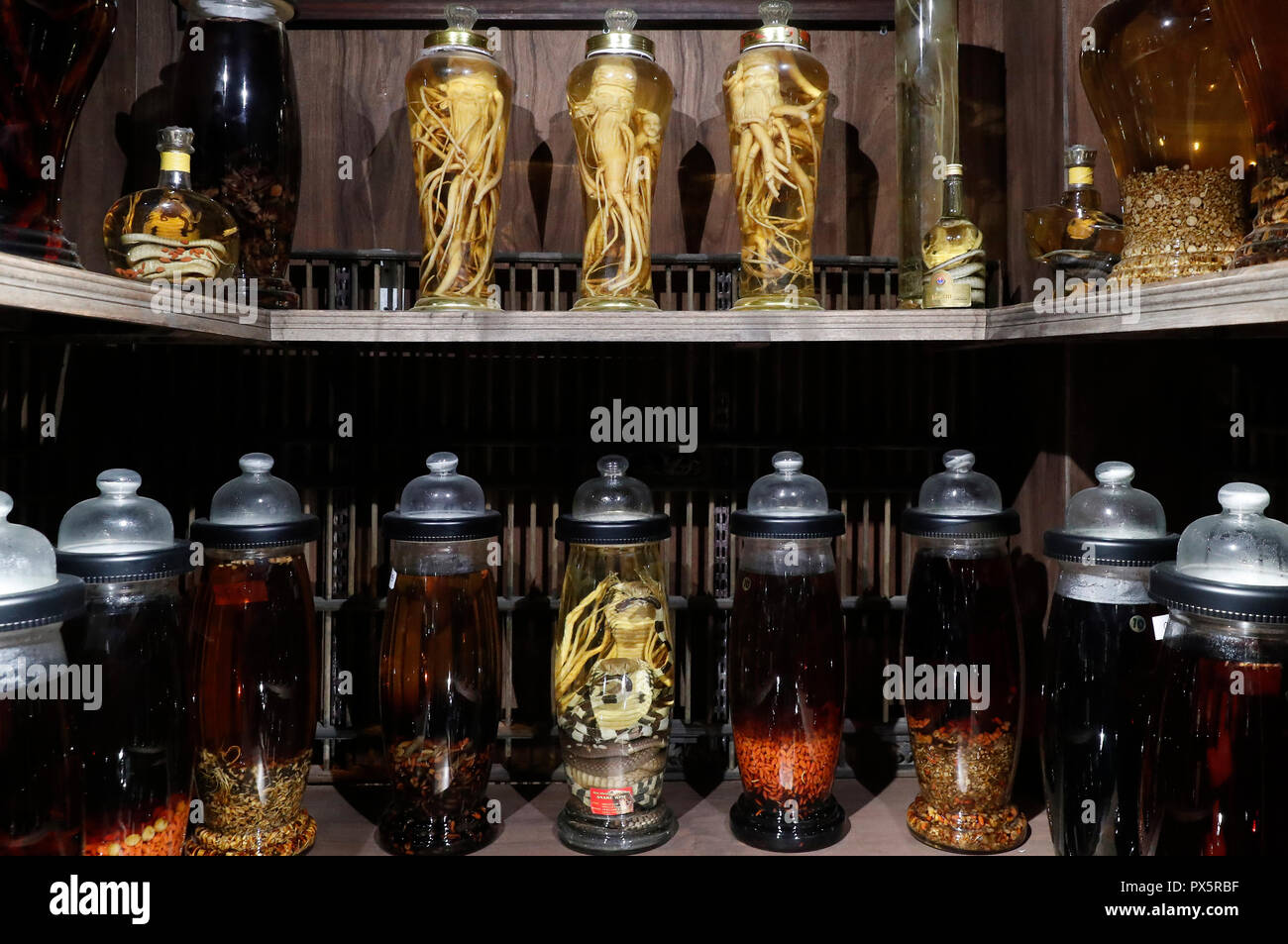Museum of Traditional Vietnamese Medicine.  Bottle with herbs, ginseng  and  snake wine. Pharmacy.  Ho Chi Minh City. Vietnam. Stock Photo