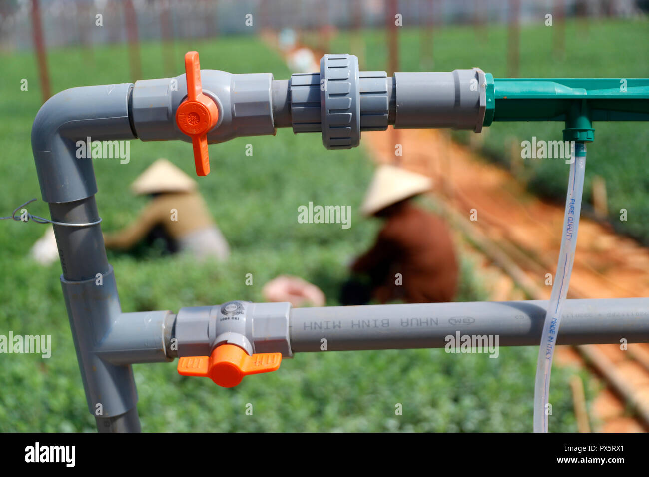 Vegetable farm. Agricultural irrigation system.  Dalat. Vietnam. Stock Photo