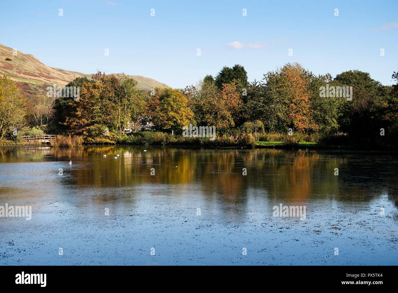 Whitefield Pond Lennoxtown East Dunbartonshire Stock Photo