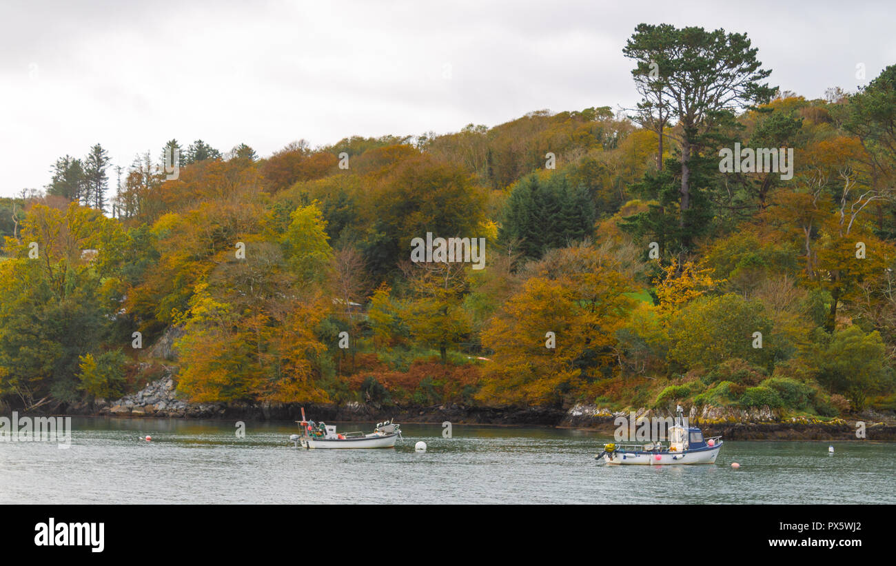 yellows and browns of autumn leaves or leaf colours or colors on trees growing alongside an estuary. Stock Photo