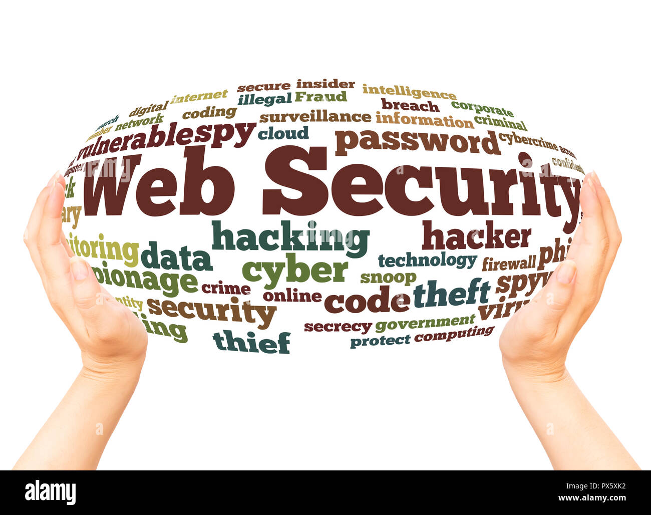 Web Security word cloud hand sphere concept on white background. Stock Photo