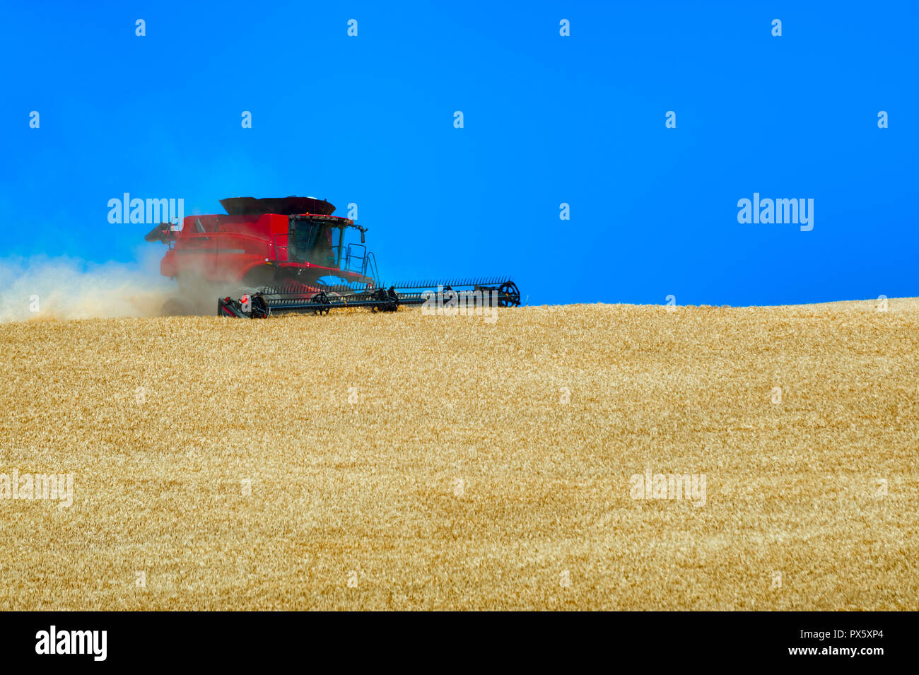 A combine works a hillside harvesting grain in rural Oregon Stock Photo