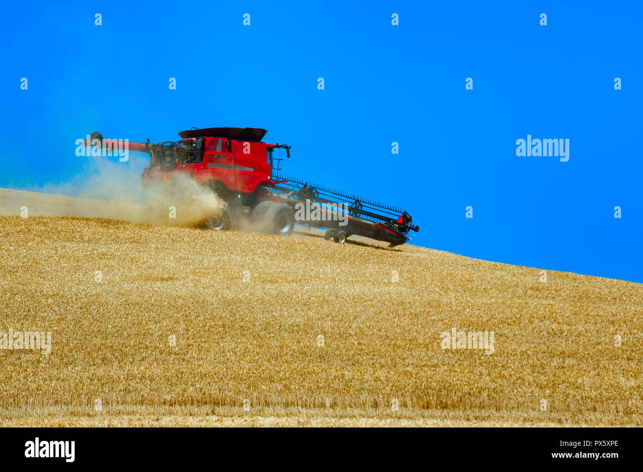 A combine works a hillside harvesting grain in rural Oregon Stock Photo