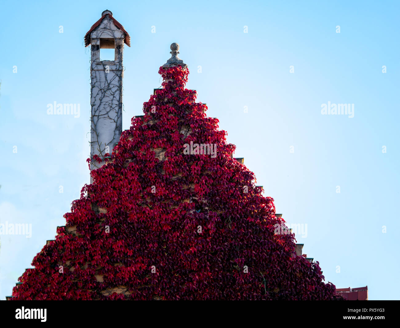 Close up image roof hi-res stock photography and images - Alamy