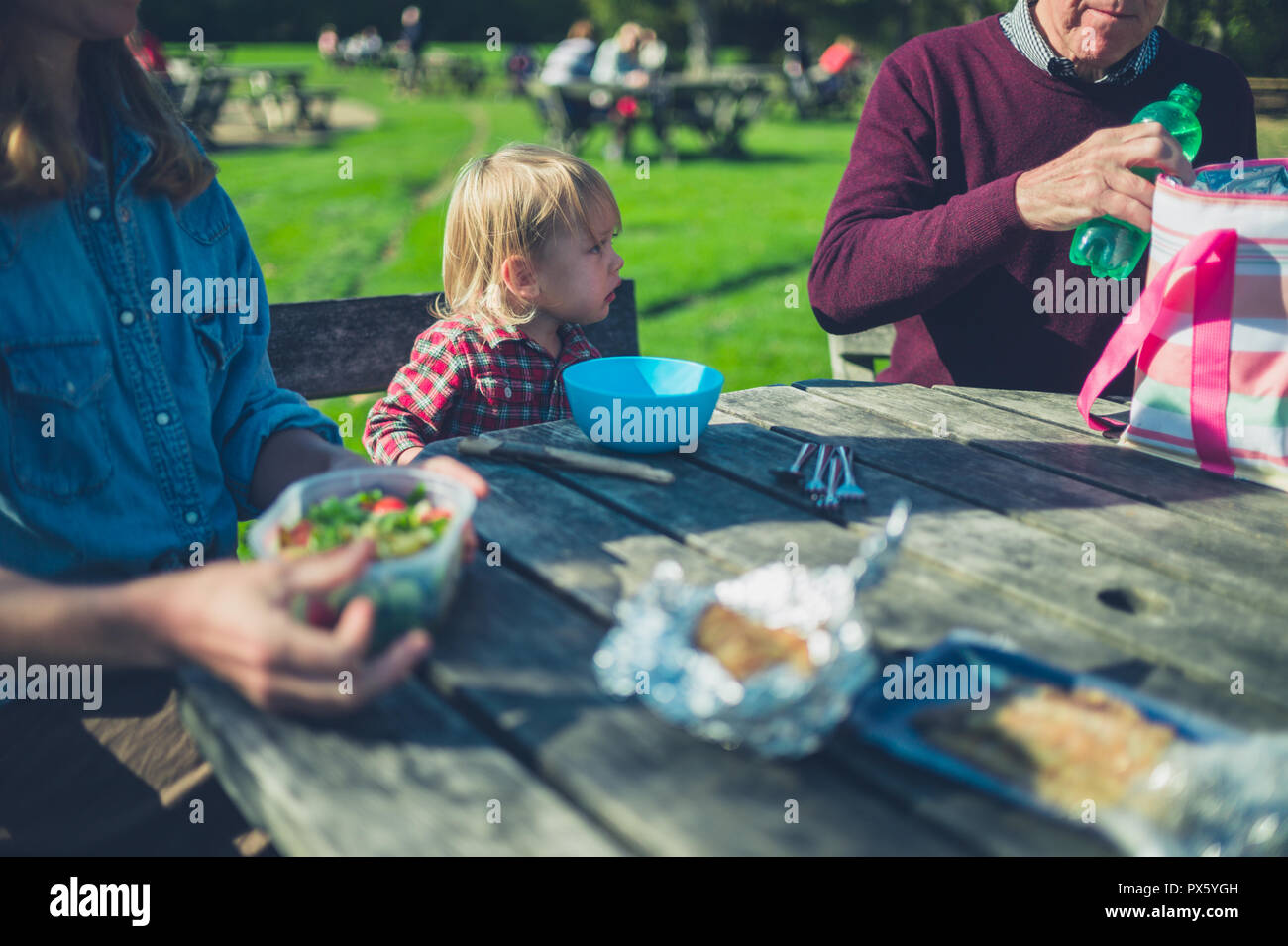 Family sitting at picnic table hi-res stock photography and images - Alamy
