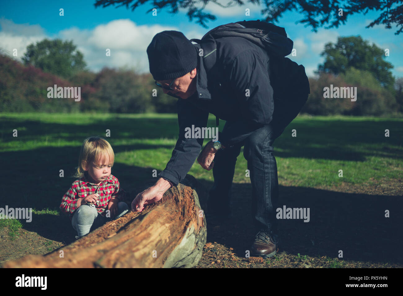 A toddler and his grandfather are examining a log in the forest Stock ...
