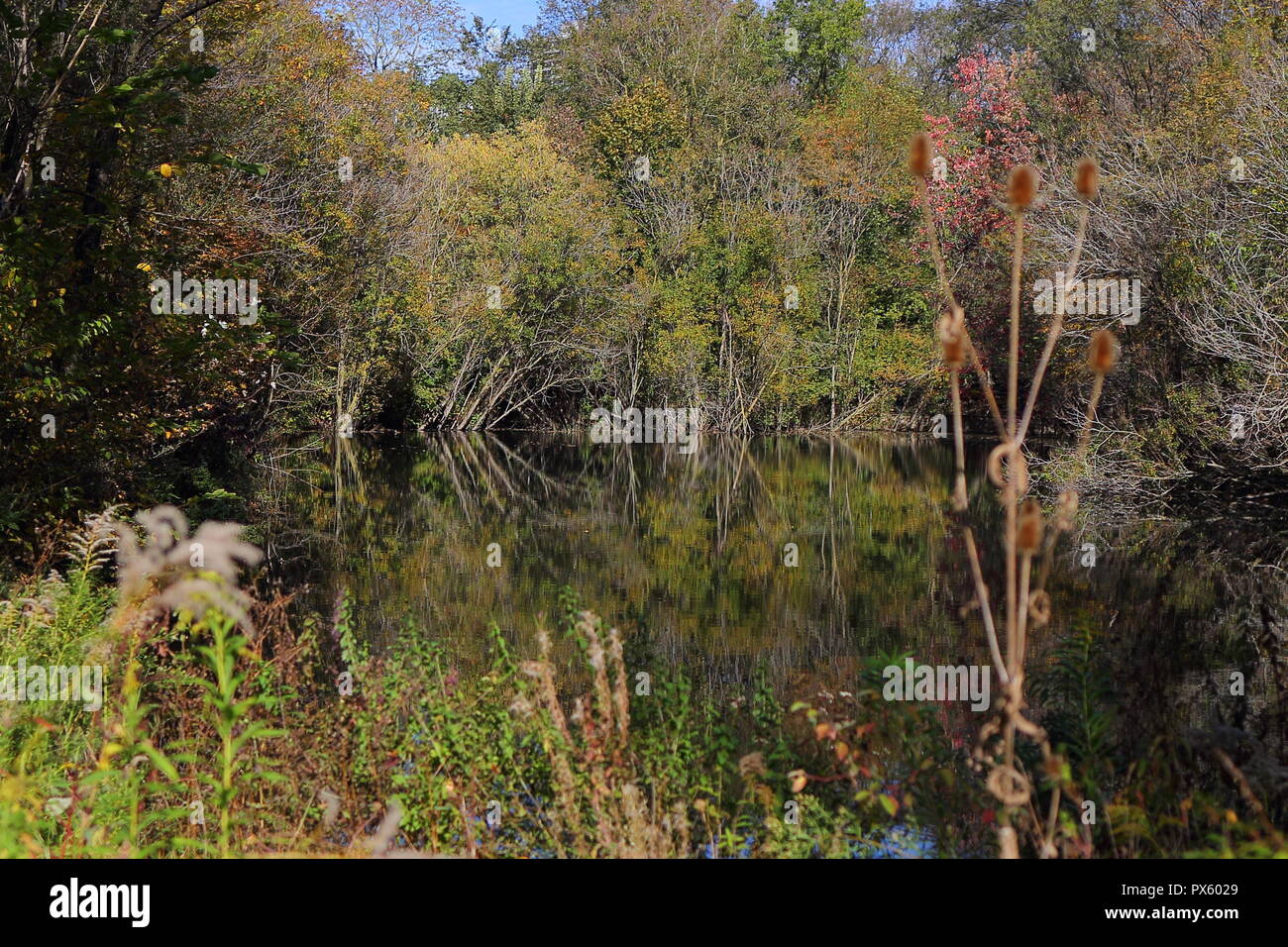 High park hi-res stock photography and images - Alamy