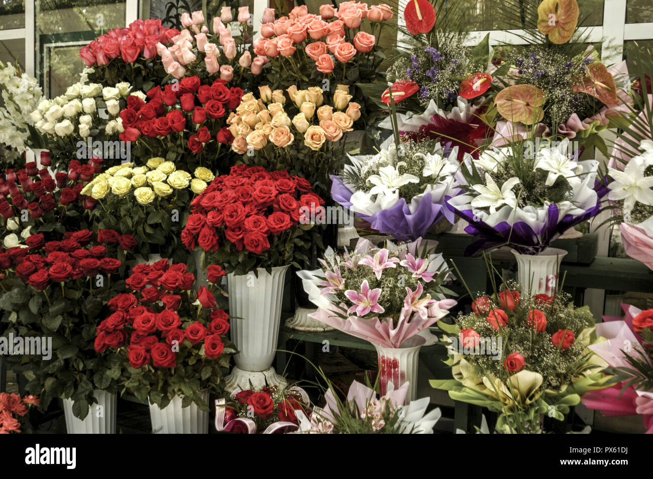 Chisinau, Str Mitropolit Banulesku Bodoni, flower market, Moldova Stock