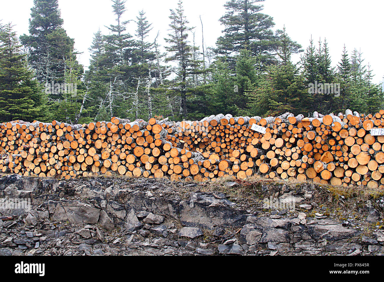 Log Fire People Canada Stock Photos Log Fire People Canada Stock