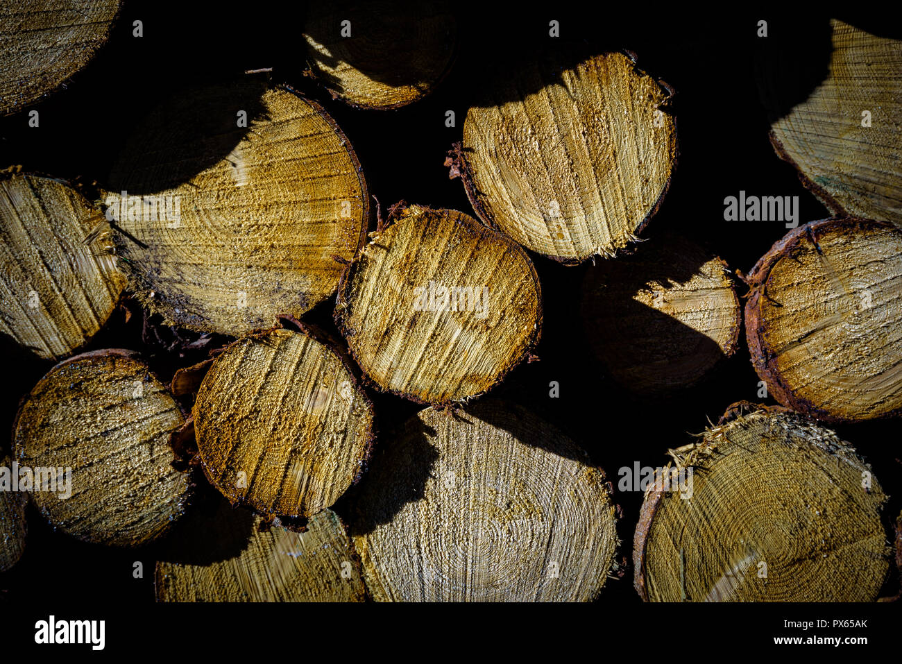 Cut Logs piled in stack/wall. Logging industry/Decoration Stock Photo