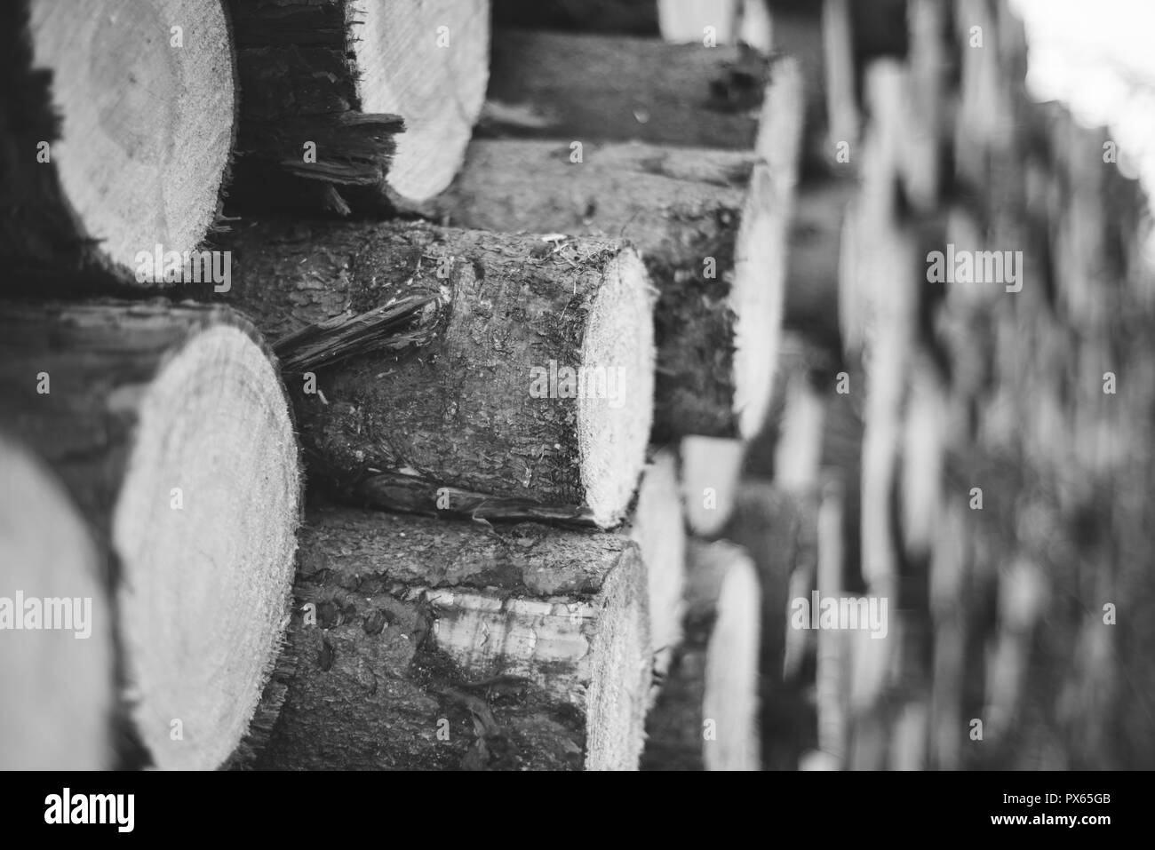 Cut Logs piled in stack/wall. Logging industry/Decoration Stock Photo