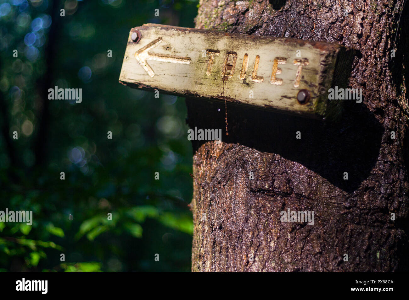 Téléchargement gratuit Images Camping Toilet Stock Photos Camping Toilet Stock Images Alamy le plus cool par