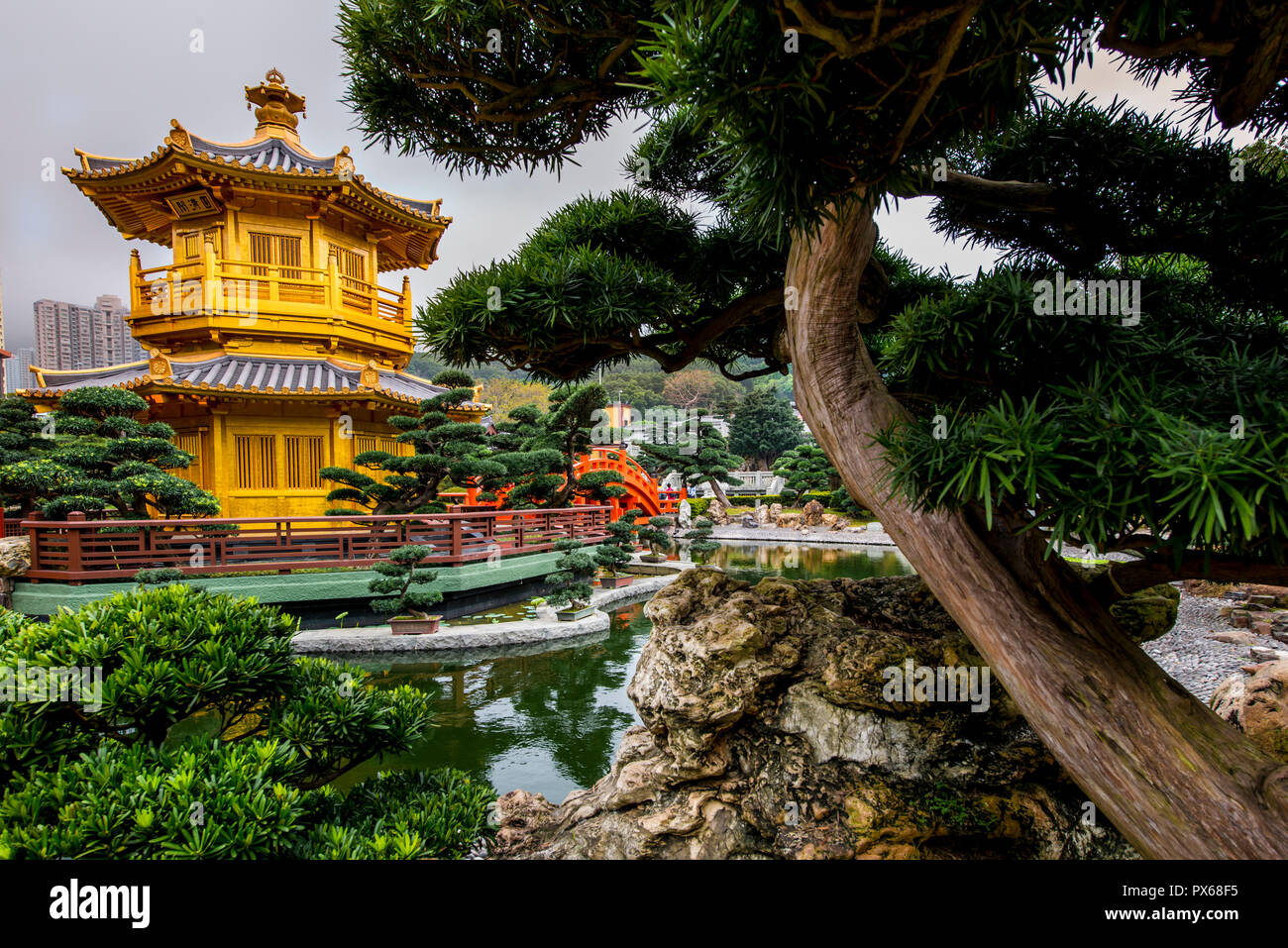 The pagoda at the Chi Lin Nunnery and Nan Lian Garden, Kowloon, Hong Kong, China. Stock Photo