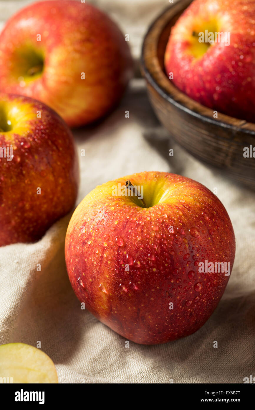 Raw Red Organic Envy Apples Ready to Eat Stock Photo Alamy