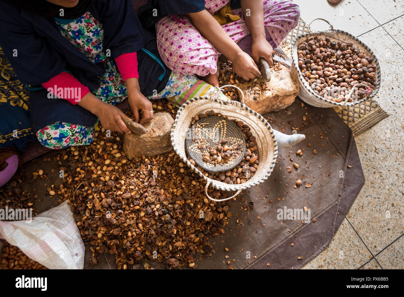 Close-up of hands of Moroccan women breaking Argan nuts (Argania spinosa) in cooperative in Morocco. This fruit is used as cosmetics and food. Stock Photo