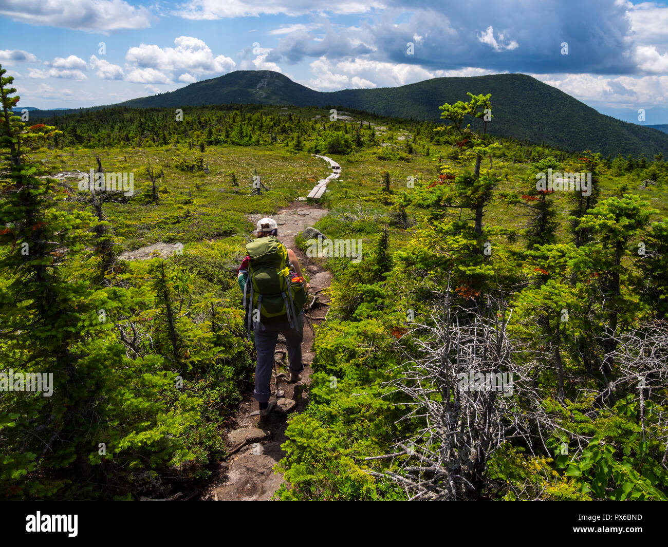 Hiker on Appalachian Trail in Maine, Lush Mountain Vista Stock Photo