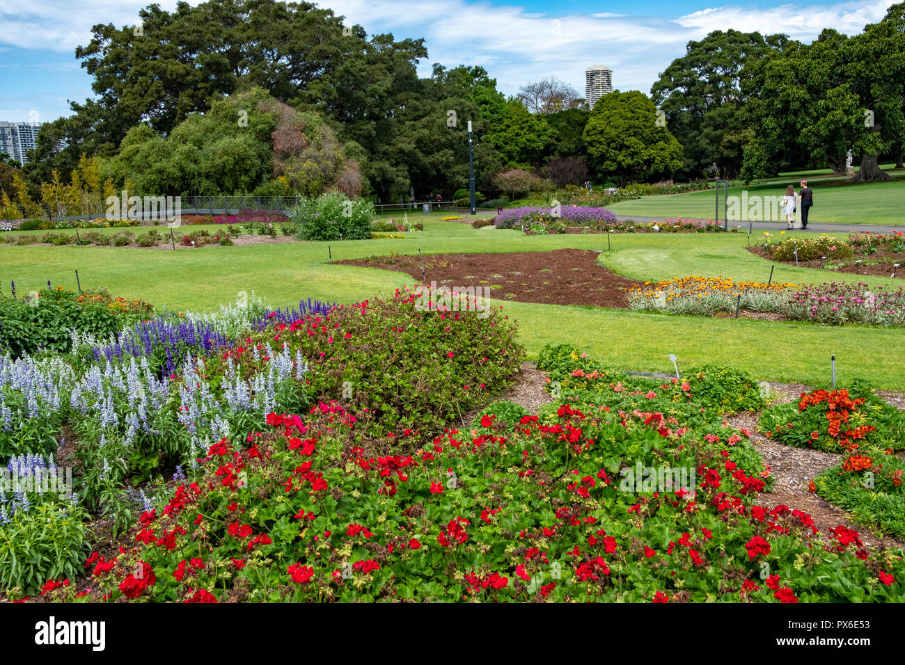 The Royal Botanic Garden in Sydney city centre, New South Wales ...