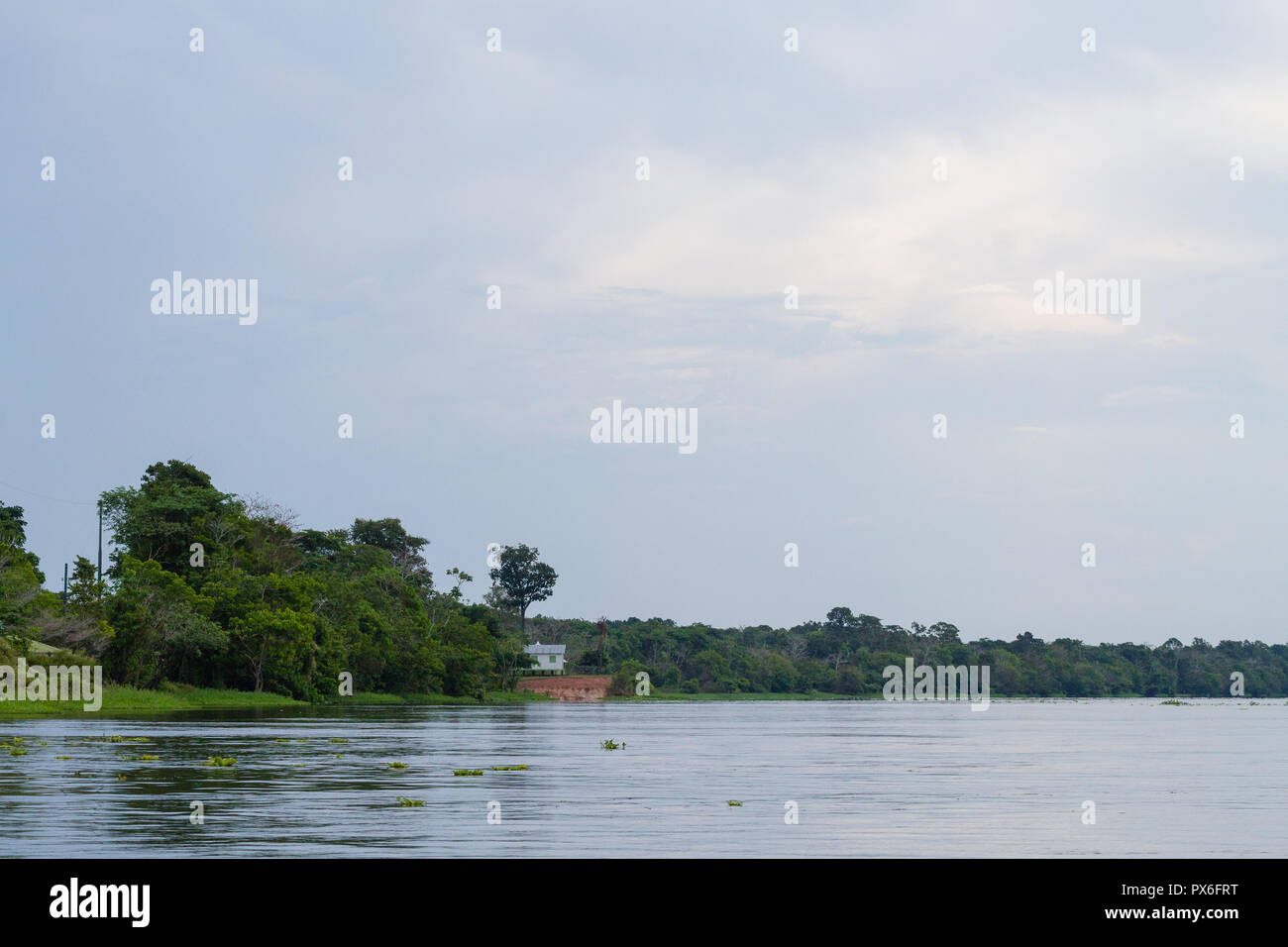 Panorama from Amazon rainforest, Brazilian wetland region. Navigable ...