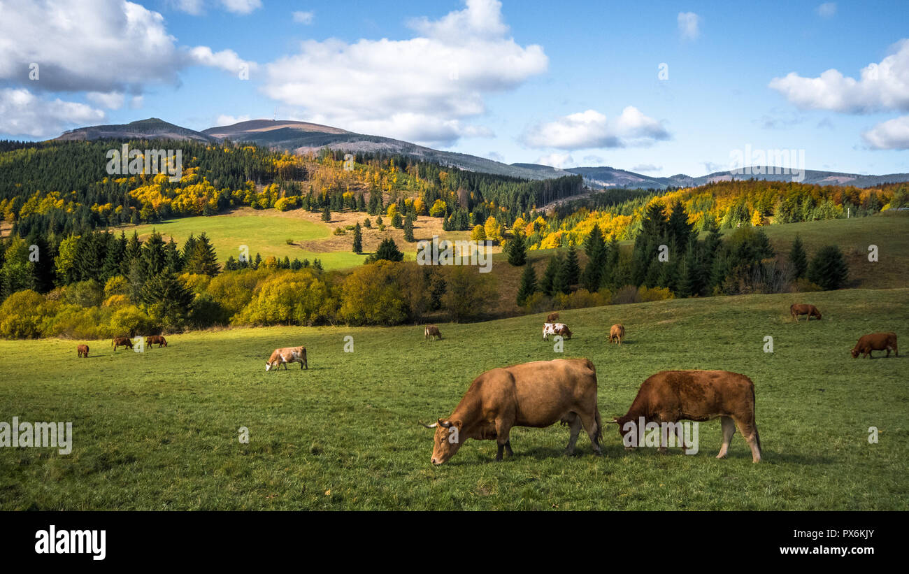 View of the countryside of Central Slovakia in autumn. The meadow below the hill called Kralova Hola Stock Photo
