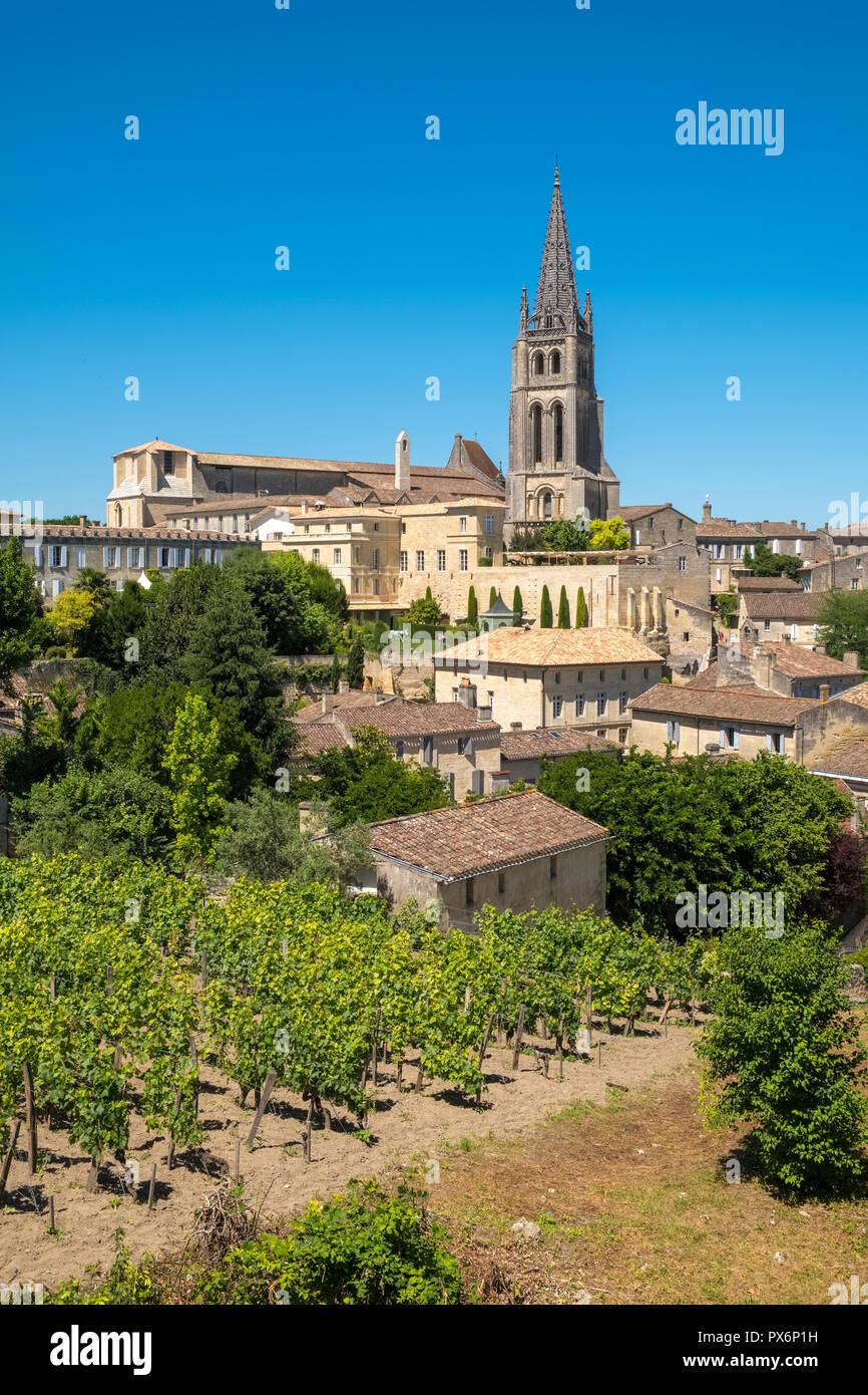 Vineyards outside the village of St Emilion, France Stock Photo