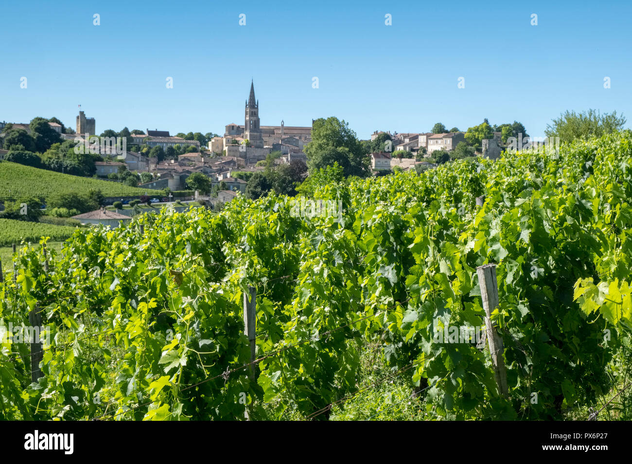 The famous vineyards and town of St Emilion, France, Europe Stock Photo