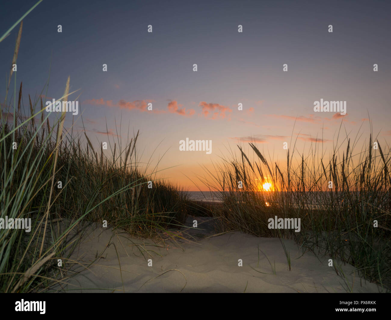 View from below through marram grass towards the setting sun at the beach Stock Photo