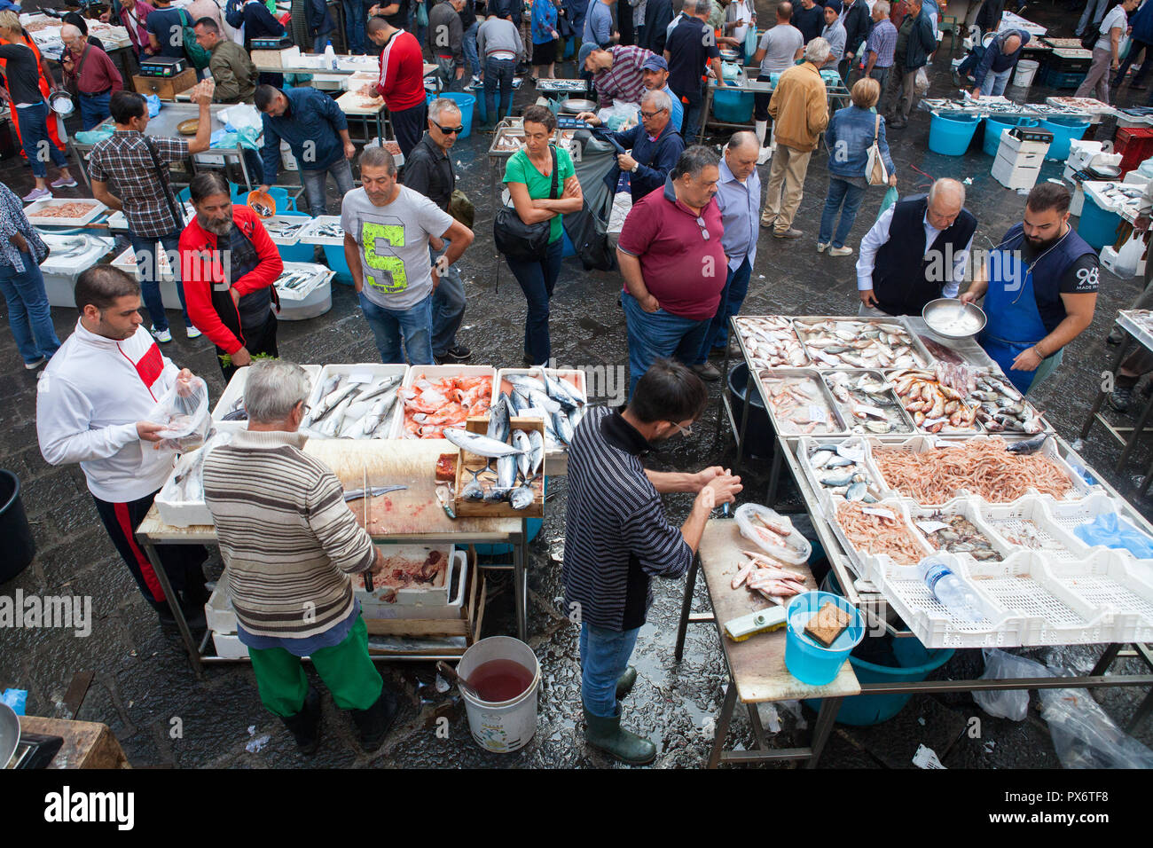 Fish market in Catania, Sicily Stock Photo Alamy