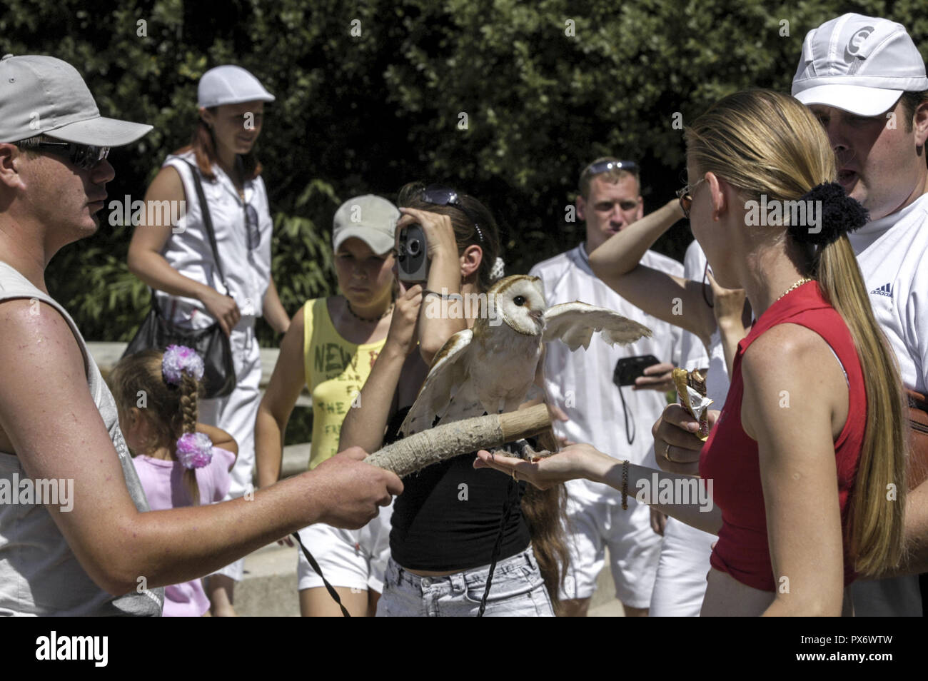 Crimea, world famous botanical garden of Nikita, tourist attraction owl ...