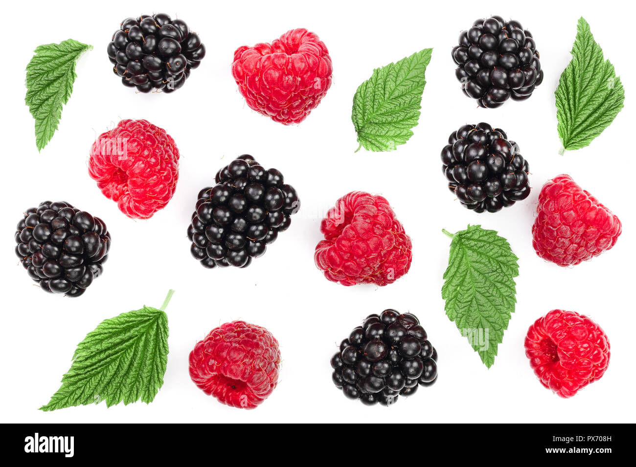 Blackberry Vs Raspberry Leaf blackberry and raspberry with leaves isolated on white background. Top ...