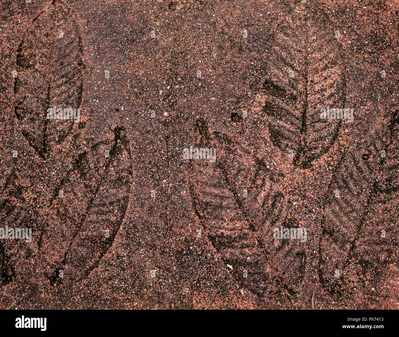 Leaves Stamp Pattern On Concrete Floor. Leaf stamp texture on red stone