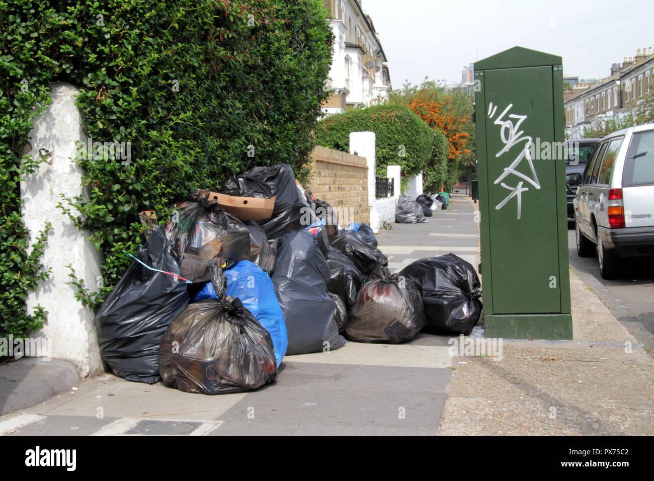 Covered with litter hi-res stock photography and images - Alamy