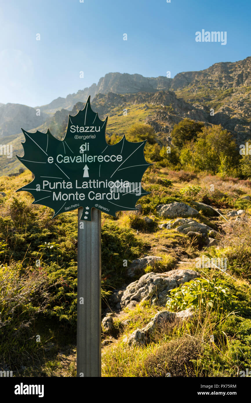 Closeup of a sign post pointing towards Punta Lattiniccia and Monte Cardu (Cardo) located in the Regional Natural Park of Corsica. Stock Photo