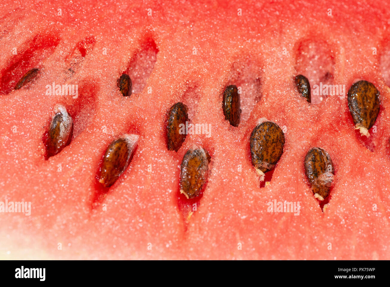 closeup by macro lens of ripe fresh watermelon with seeds, closeup to seeds Stock Photo