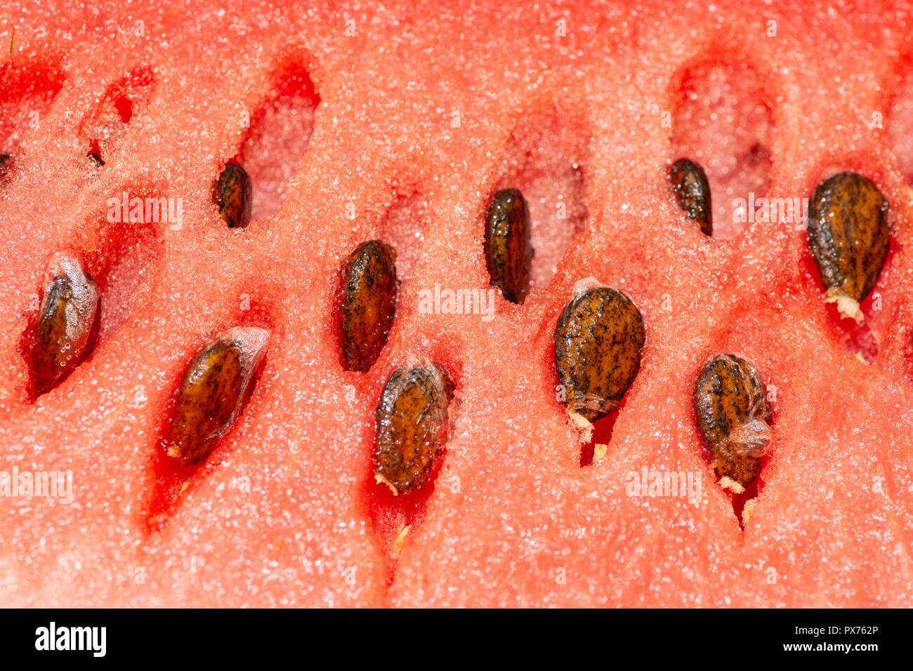 closeup by macro lens of ripe fresh watermelon with seeds, closeup to seeds Stock Photo