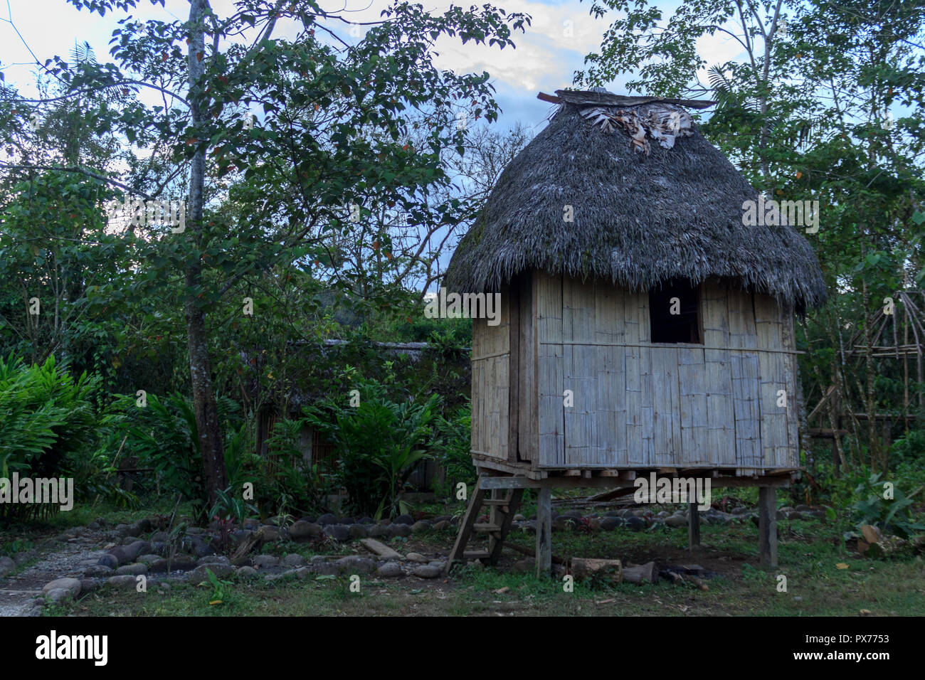indigenous house from wood in the amazon rainforest, ecuador Stock Photo