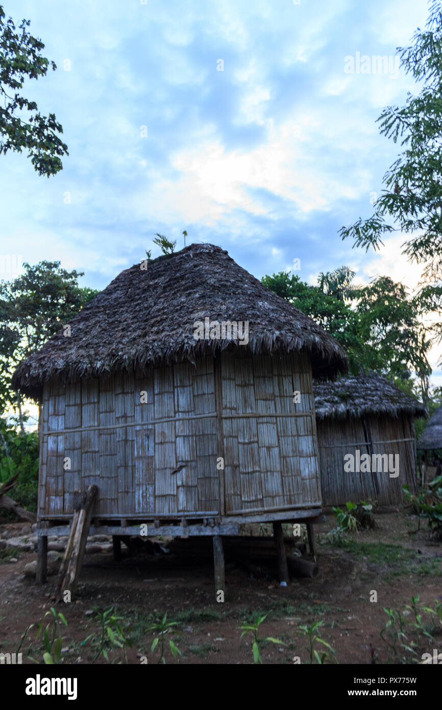 indigenous house from wood in the amazon rainforest, ecuador Stock Photo