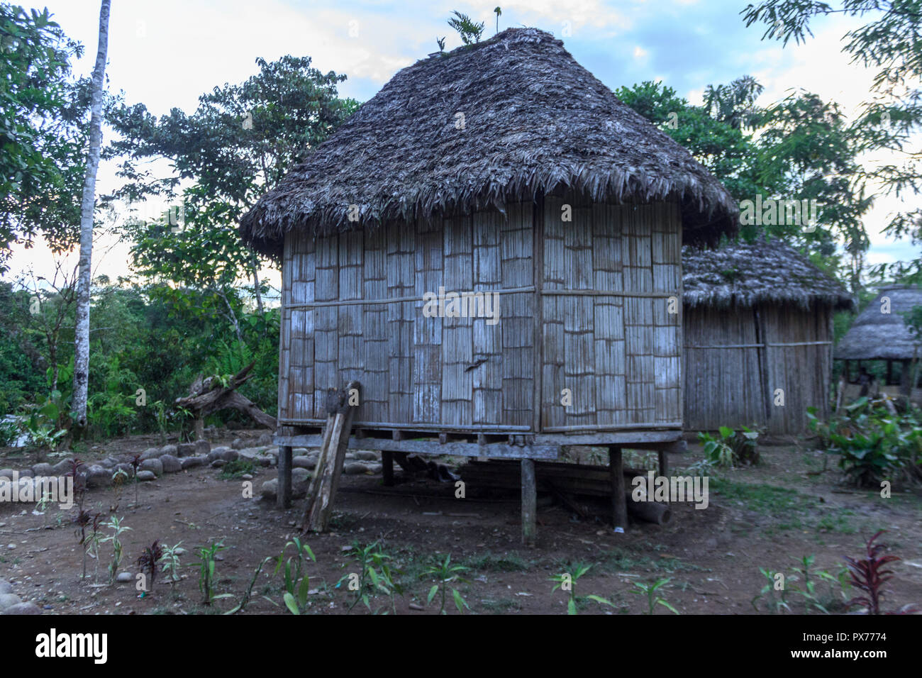 Amazon Hut High Resolution Stock Photography and Images - Alamy