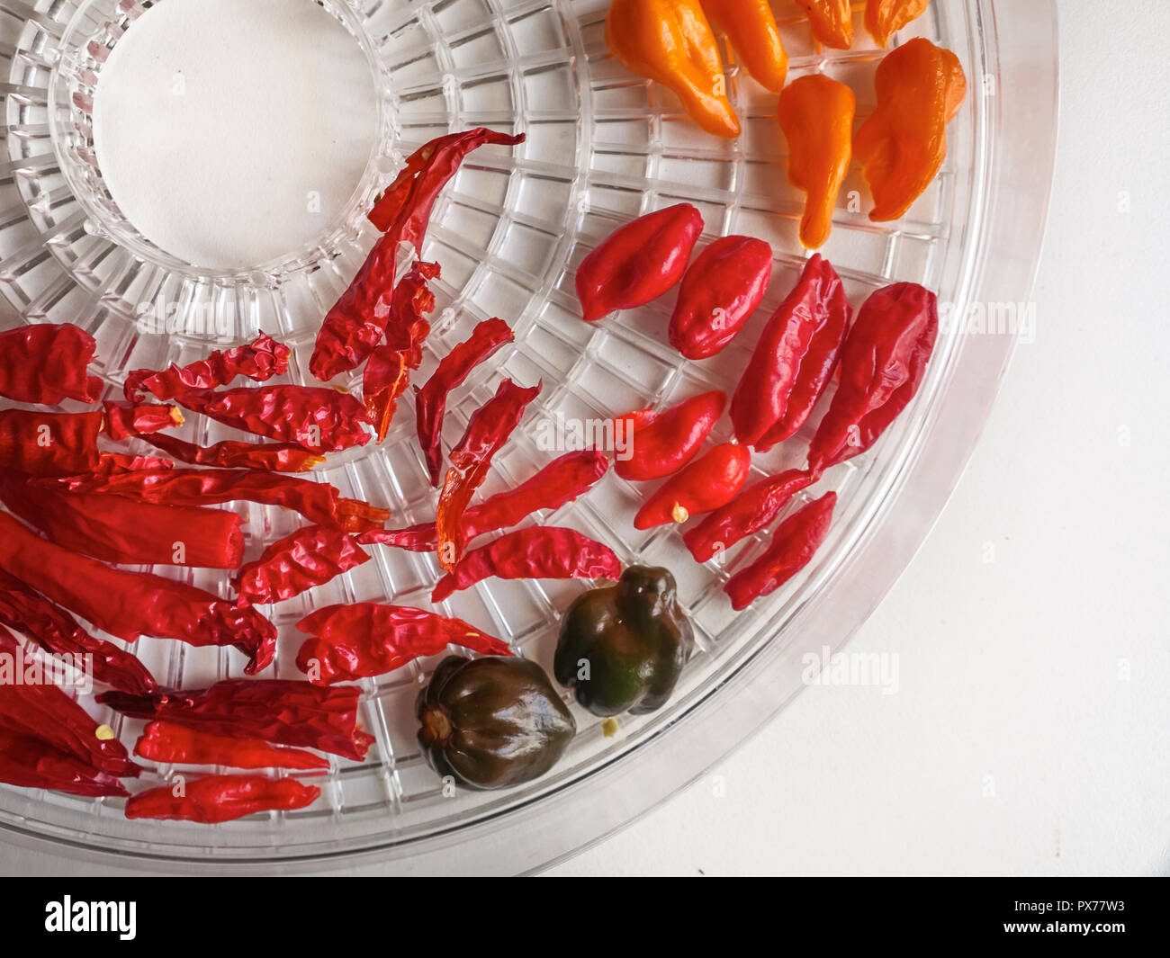 Shot of a mix of Habanero, Naga Morich and Cayenna peppers in a round