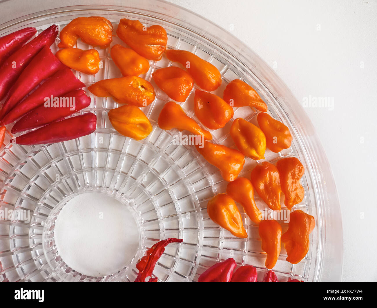Habanero chilli plant hires stock photography and images Alamy