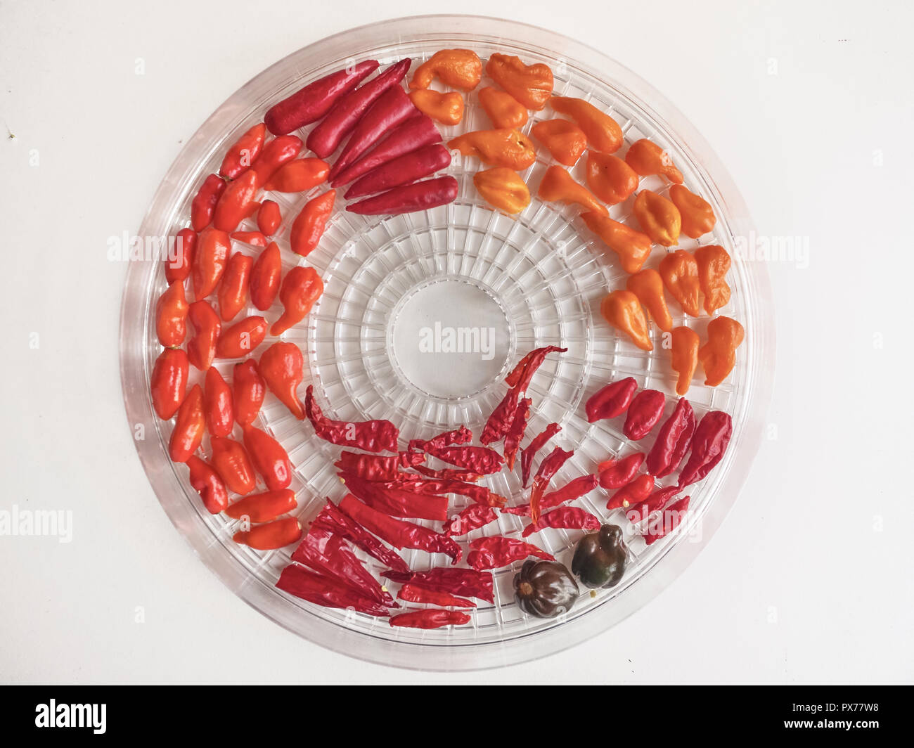Shot of a mix of Habanero, Naga Morich and Cayenna peppers in a round