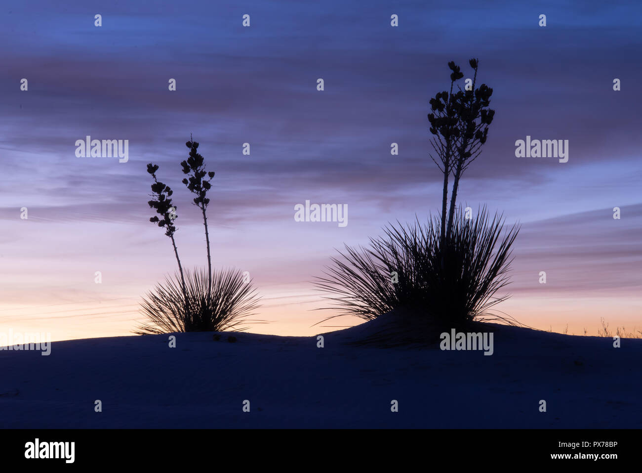 Sunrise at White Sands National Monument in New Mexico Stock Photo