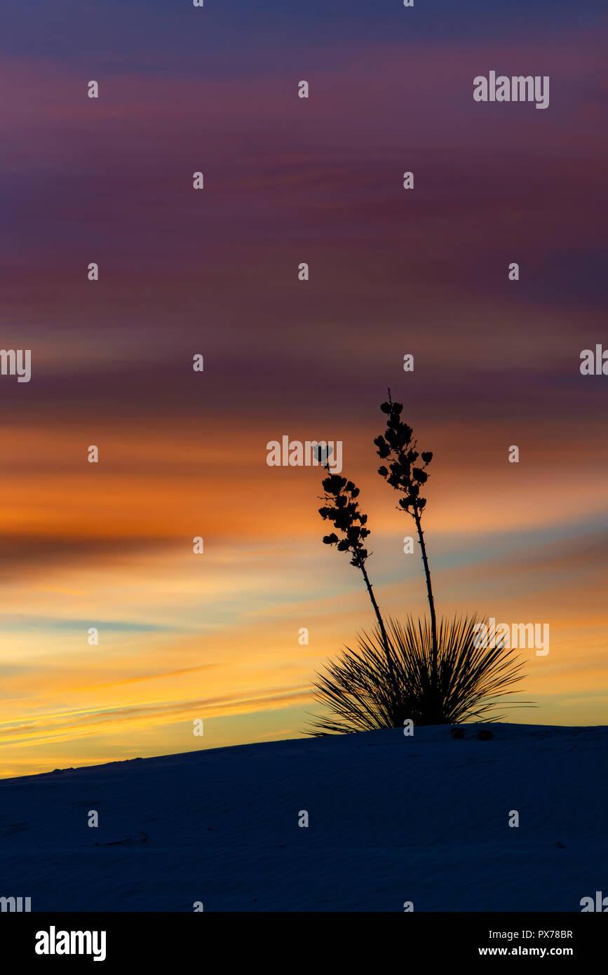 Sunrise at White Sands National Monument in New Mexico Stock Photo