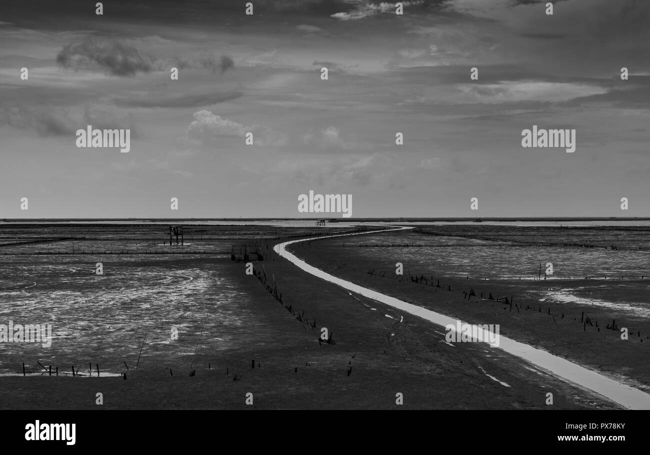 Canal landscape in coastal Black and White Stock Photos & Images - Alamy