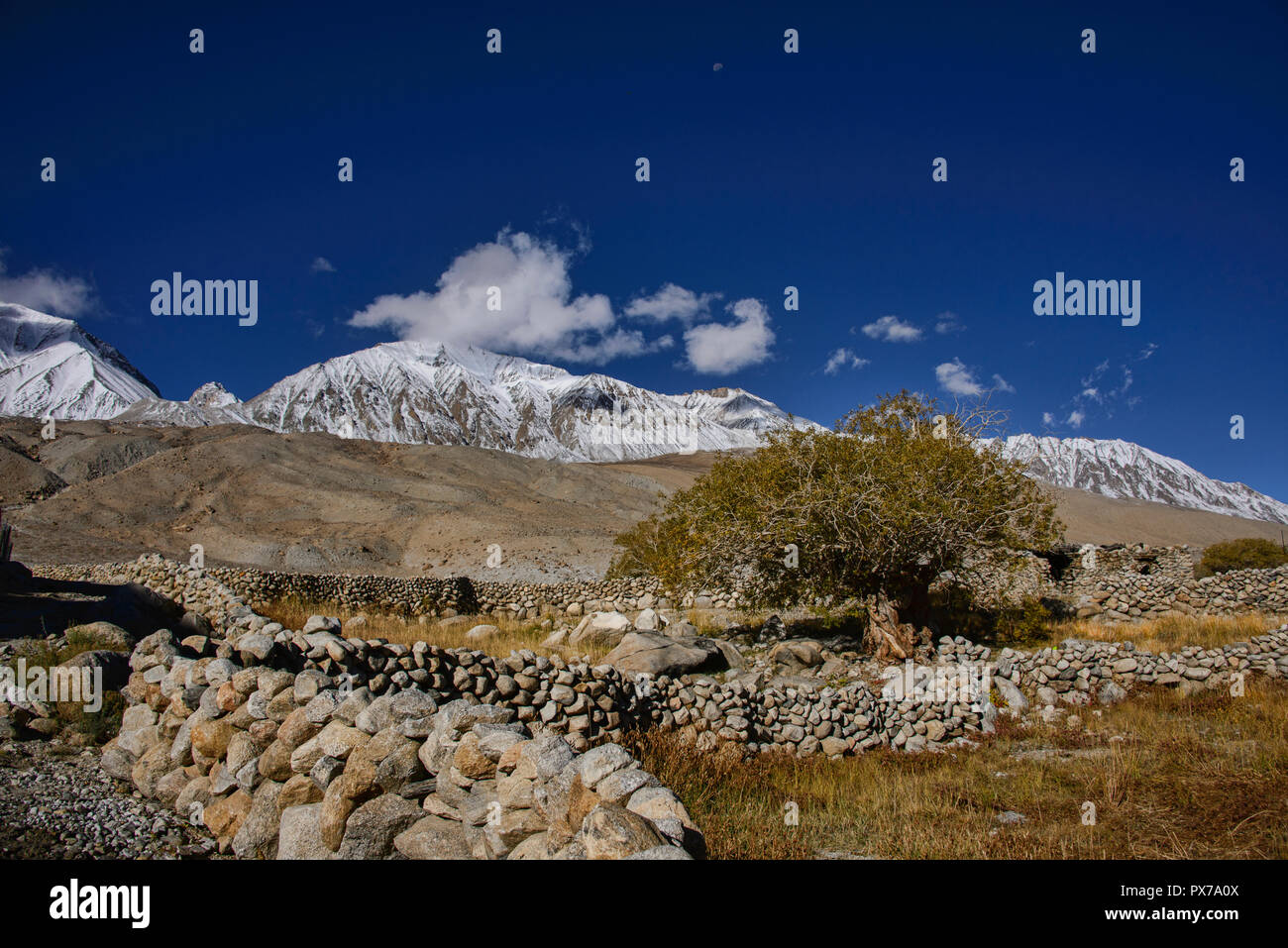 Meerak village in autumn color, Pangong Lake, Ladakh, India Stock Photo