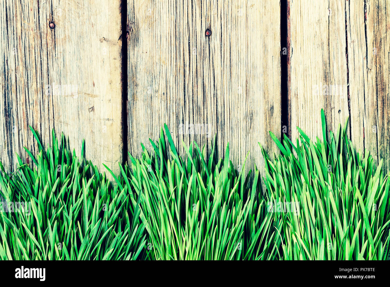 Wooden background with green grass. Copy space Stock Photo - Alamy