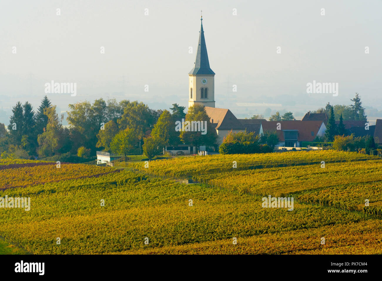 Picturesque vineyards in autumn colors, Ballrechten-Dottingen village in background, Baden Württemberg. Germany. Stock Photo