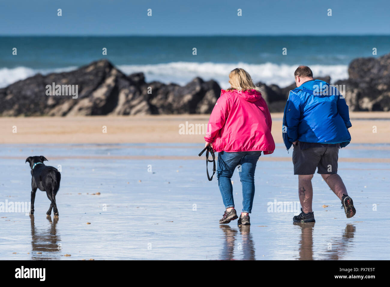 Dog walkers on Fistral Beach in Newquay in Cornwall. Stock Photo