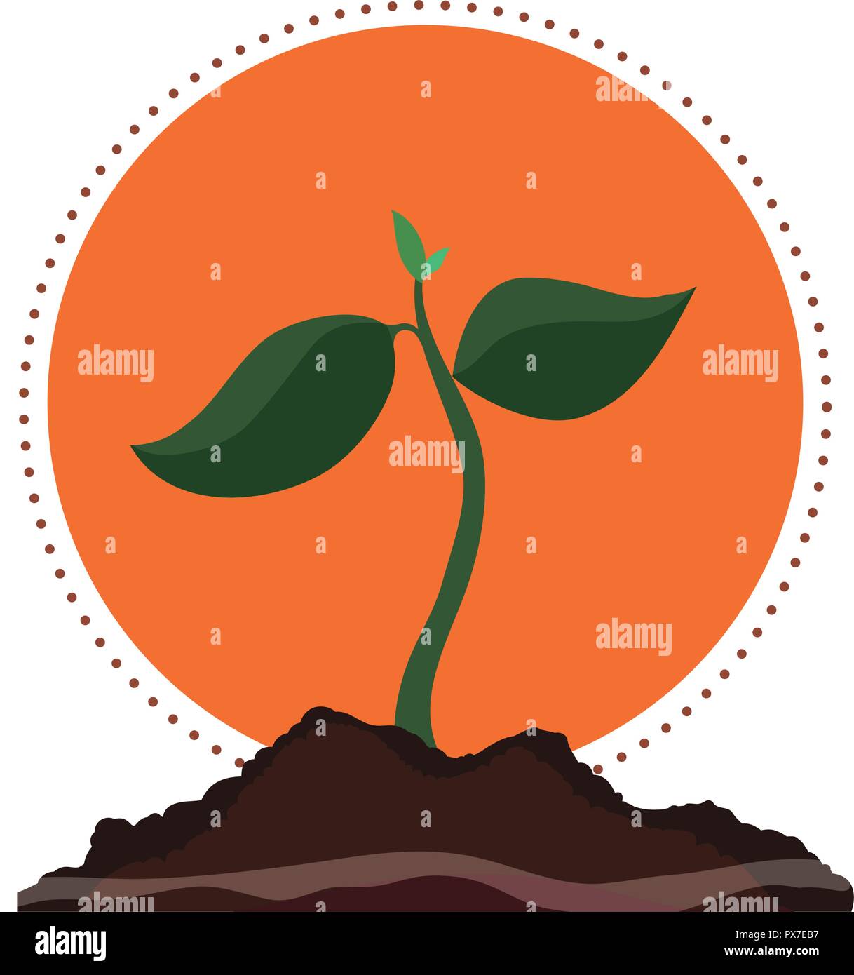 tree plant cultivated icon vector illustration design Stock Vector ...