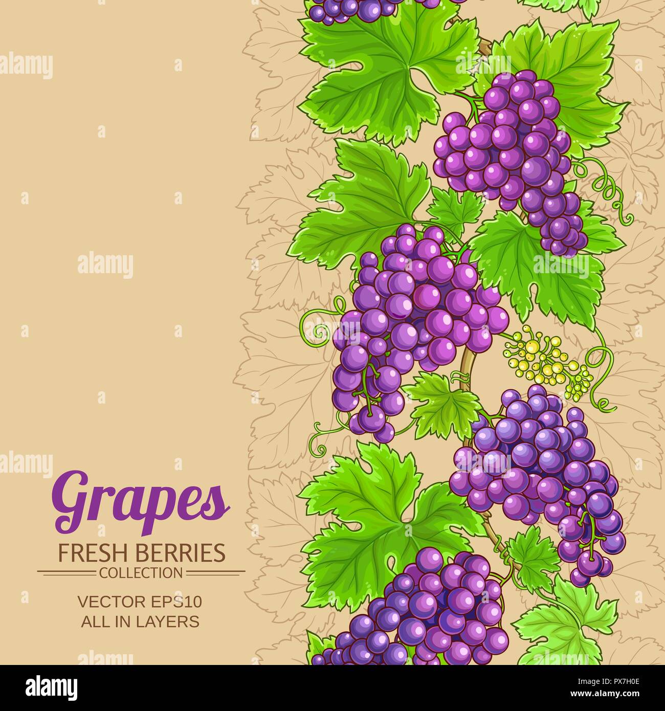 grapes vector pattern on color background Stock Vector